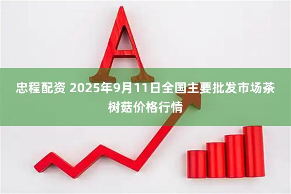 忠程配资 2025年9月11日全国主要批发市场茶树菇价格行情