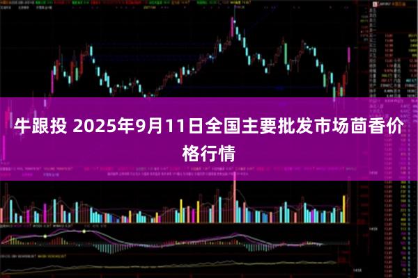 牛跟投 2025年9月11日全国主要批发市场茴香价格行情