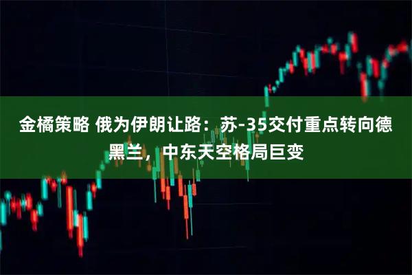 金橘策略 俄为伊朗让路：苏-35交付重点转向德黑兰，中东天空格局巨变